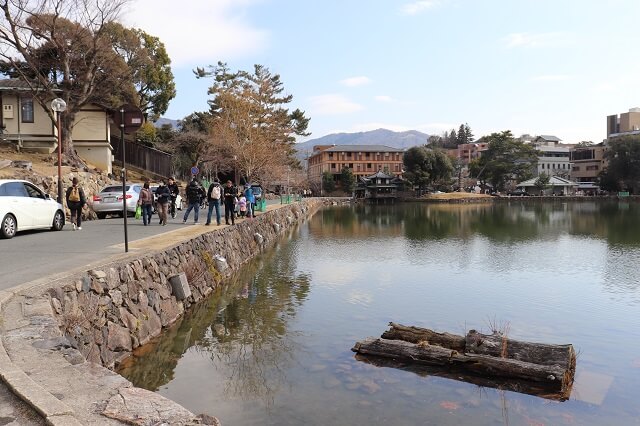 奈良の猿沢池