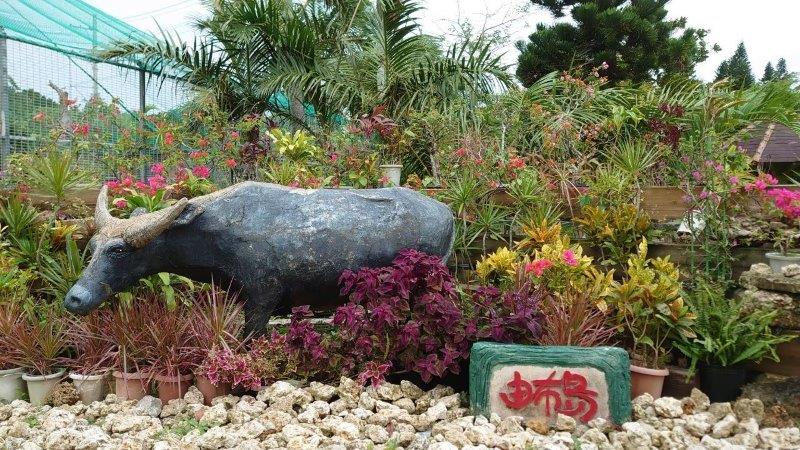 由布島の水牛の像