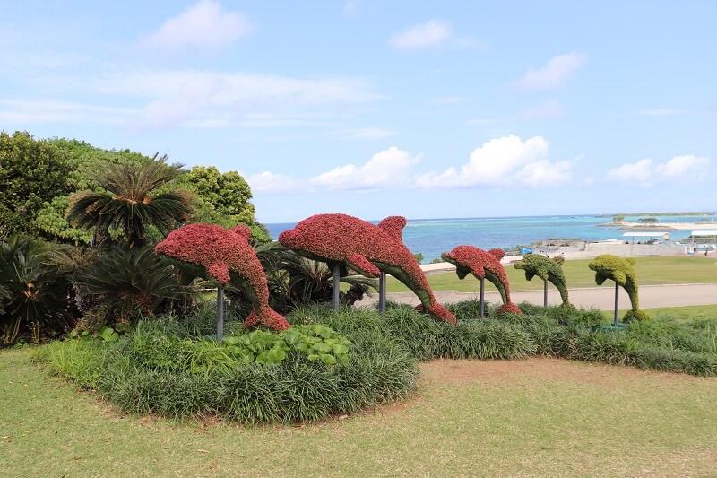 沖縄美ら海水族館のイルカを模した刈込