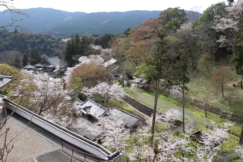 奈良県長谷寺の五重塔のところから眺めた境内