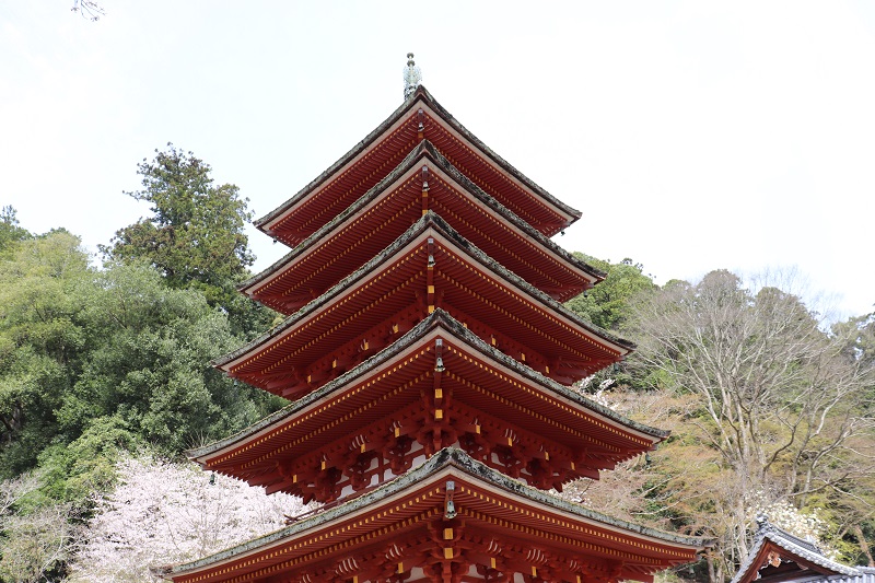 奈良県長谷寺の五重塔