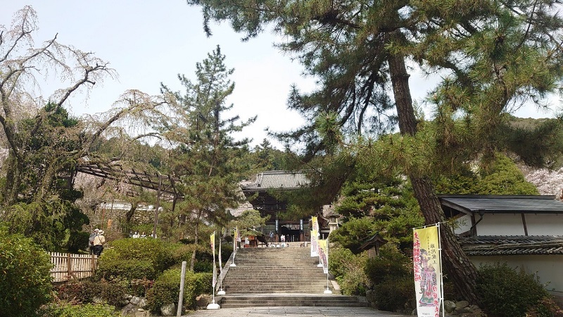 奈良県長谷寺　仁王門へ向かう階段