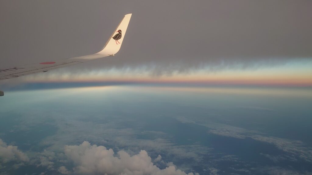 那覇発の飛行機の翼