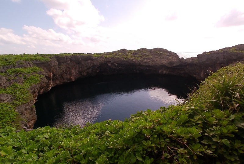 通り池の「一の池」