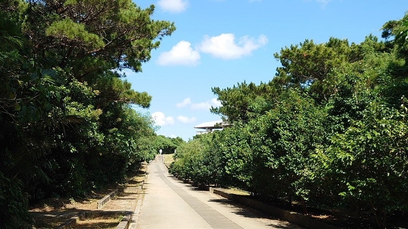 牧山展望台へ向かう遊歩道