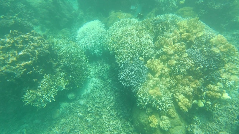 中の島ビーチの水中の様子