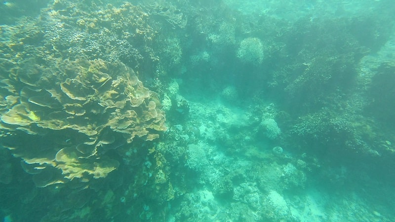 中の島ビーチの水中の様子