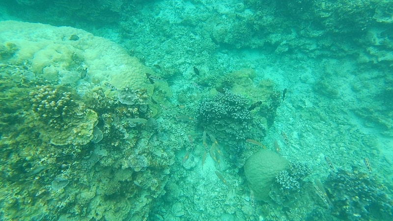 中の島ビーチの水中の様子
