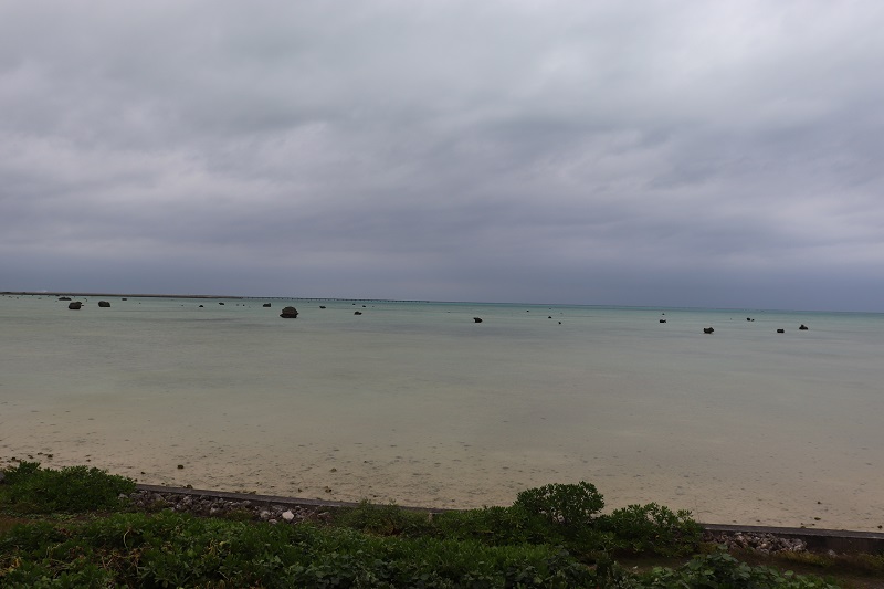 佐和田の浜 干潮