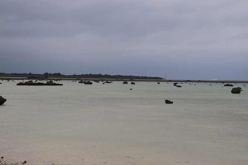 佐和田の浜 干潮