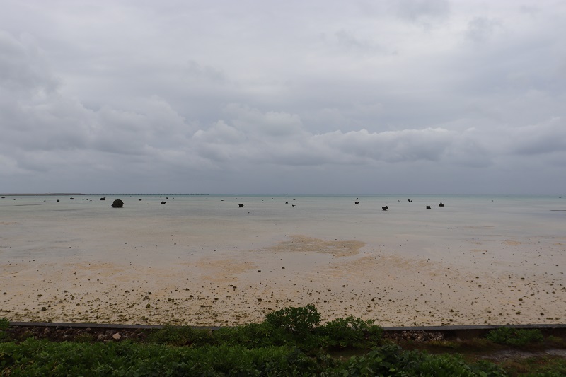 佐和田の浜 干潮