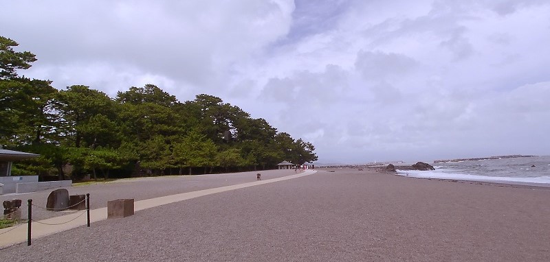 桂浜
