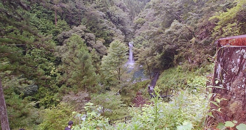 にこ淵 遊歩道を下っていくとちらちらと見えるにこ淵