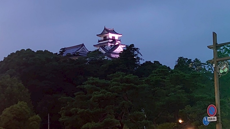 高知城 ライトアップされた天守閣