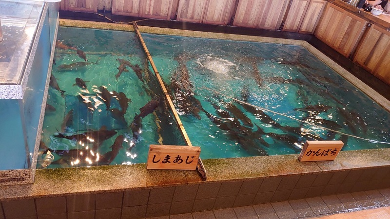 活魚 漁ま 生け簀(いけす)